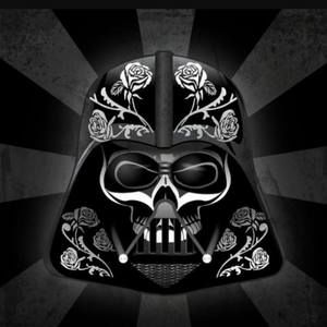 Meet your Posher, Donald